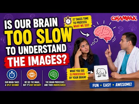 Is our brain to slow to misunderstand the images? Kids Science Experiments