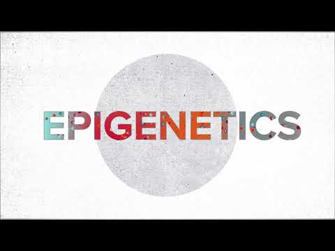Epigenetics Explained | Penn Medicine