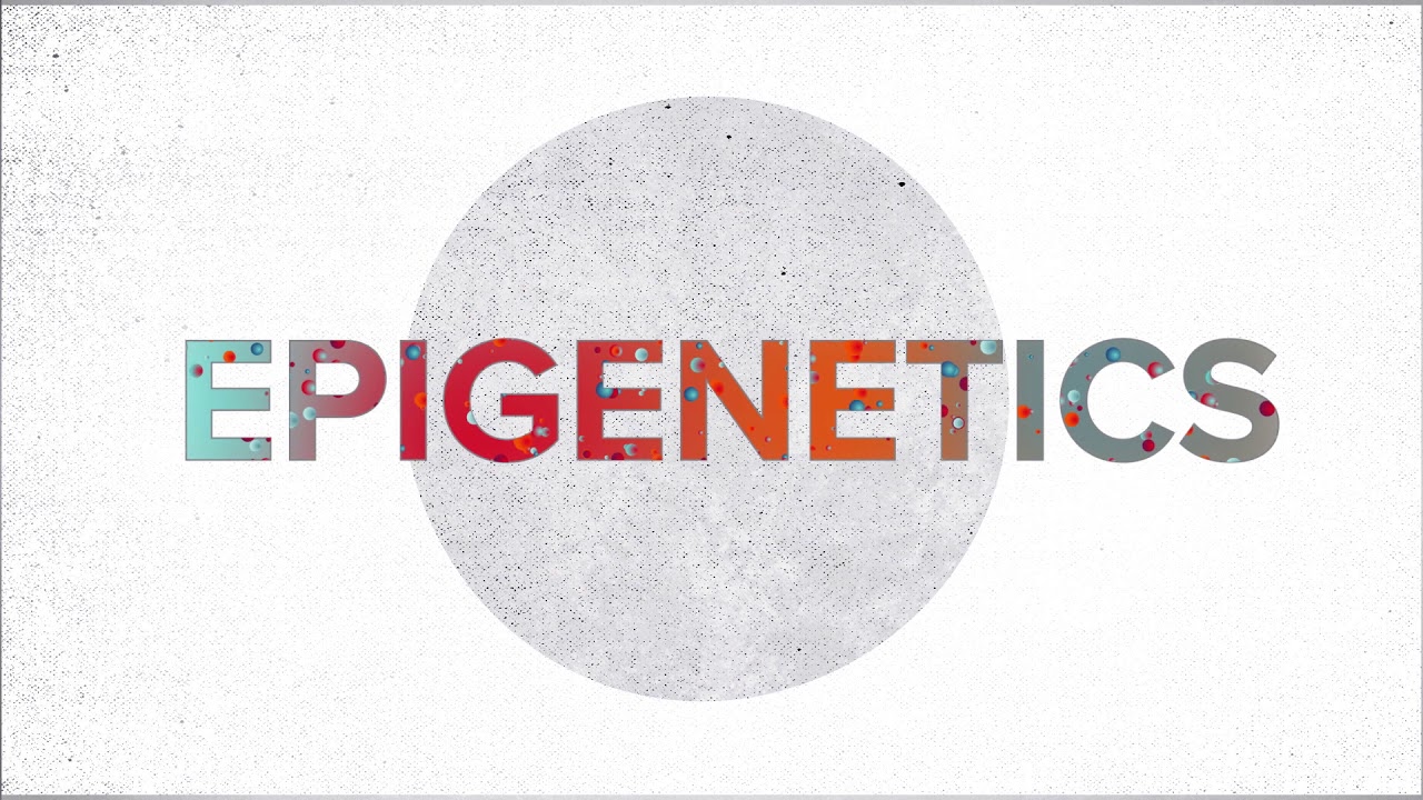 Watch video titled Epigenetics Explained video on YouTube