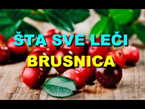 Niskokalorijski sok od brusnice snižava krvni tlak u zdravih osoba / Vijesti - aeschanguinola.com