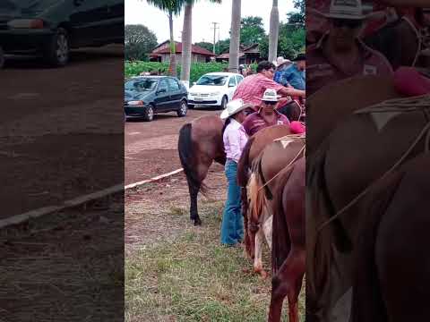 Chegada De Um Pouco Da Cavalgada Peabiru PR