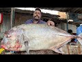 KASIMEDU SPEED SELVAM HUGE TRAVELLY FISH CUTTING VIDEO 4K VIDEO KM FISH CUTTING