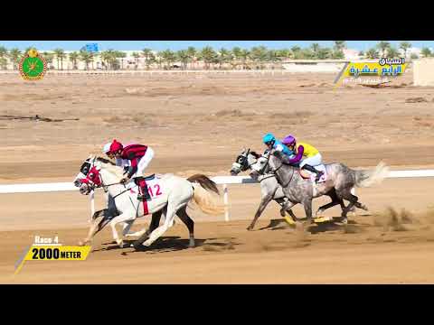 الشوط الرابع - السباق الرابع عشر- الرحبة 14/02/2019 Race 4-14th meeting