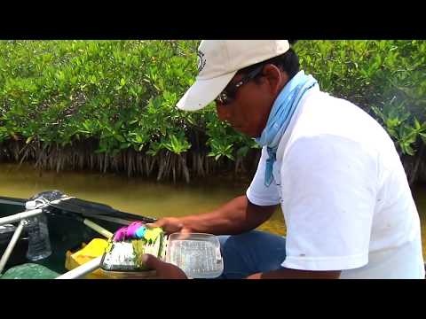Snookzilla - By Todd Moen - Trophy Snook Fishing