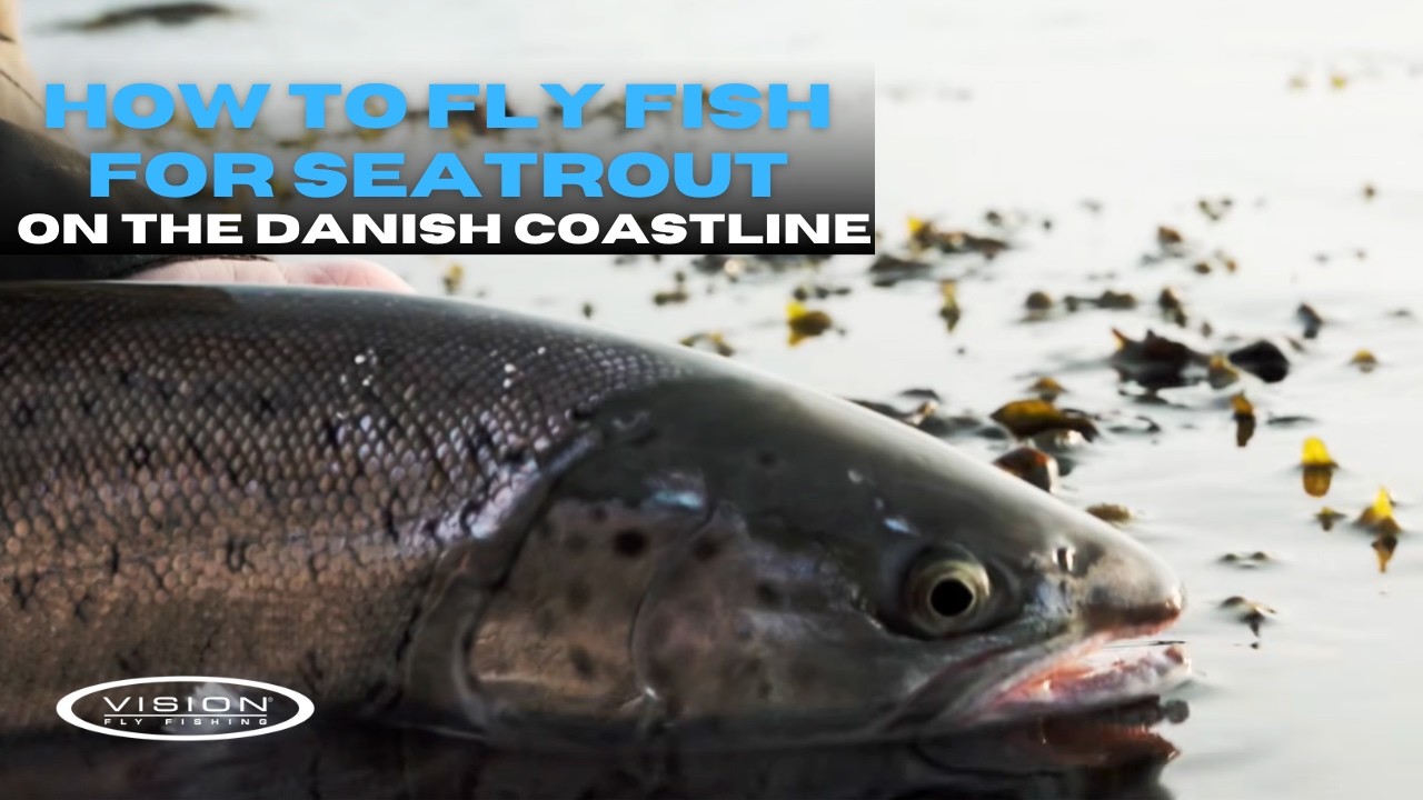 Sea Trout Fly Fishing on the Danish Coast | Local's Guide