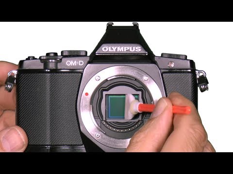Sensorreinigung Olympus OM-D Micro Four Thirds - so geht's - Tipps und Tricks vom Fachmann