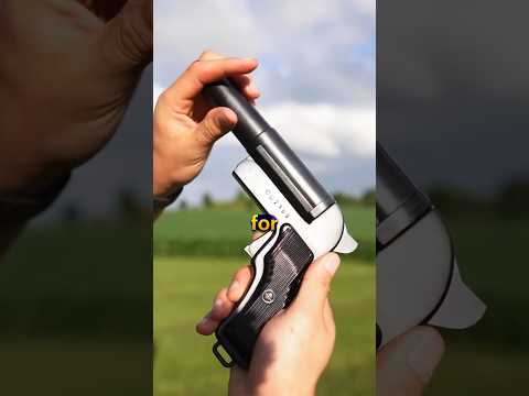 Can You Shoot A Shotgun Bullet With A Flare Gun?