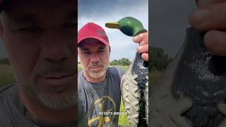 🎯 💦 🐶💚 Apportierdummy