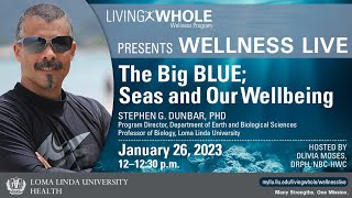 The Big Blue; Seas and Our Wellbeing