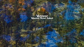 Wanted, Never Asked Music Video