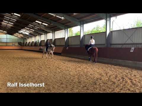 Was bedeutet wechselseitiges Treiben im Schritt?