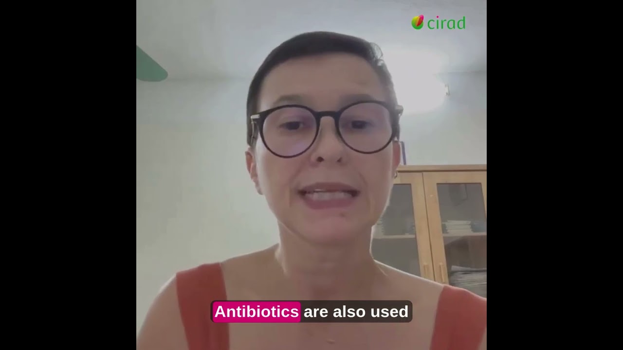 What is antibiotic resistance?