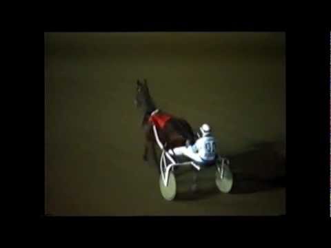 Hamburger Stutenpreis 1992 Zuchtrennen Finale Double Crown 1:18,6