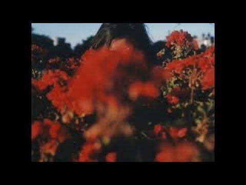 stzzy. - last days of summer (lofi hip-hop mix)