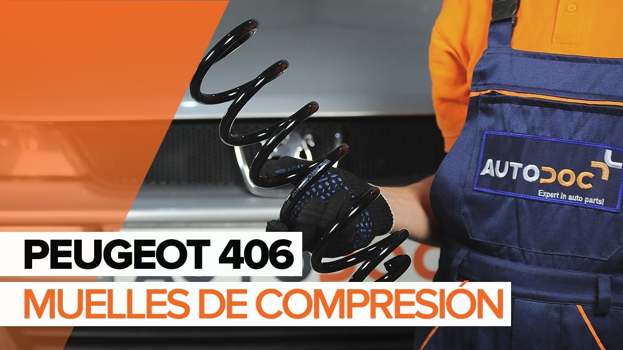 Cómo cambiar: muelles de suspensión de la parte trasera - Peugeot 406 berlina | Guía de sustitución