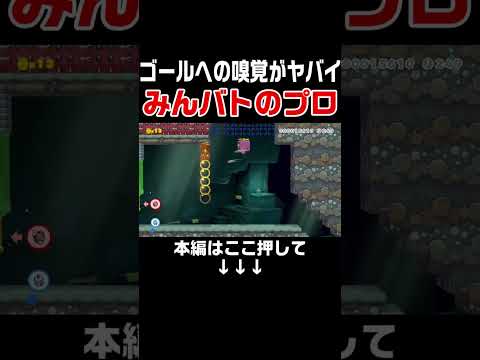 1/2の分岐の選択を外さないみんバトのプロ！【マリオメーカー2/マリメ2】