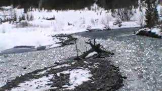 River by David Allan Coe