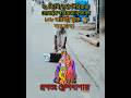 কৃষ্ণ মন্ত্র কৃষ্ণায় বাসুদেবায় Krishna M