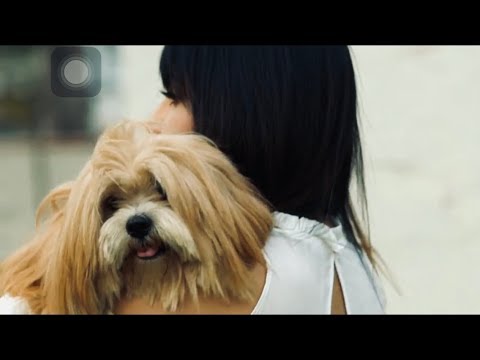 SUMANN - DIL DIYAN GALLAN (FEMALE COVER)