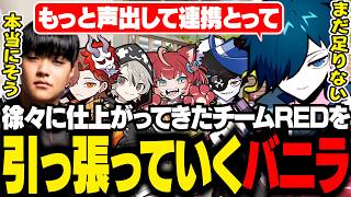 Reviveに向けてもっと仕上げる為に、チームをまとめるバニラ【VALORANT/バニラ/切り抜き】