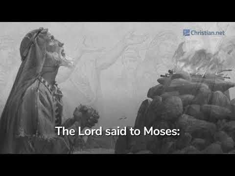 Leviticus 5:14 – 6:7: Israelites Guilt Offering | Bible Stories