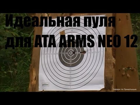 The Leningradka-2 bullet is the ideal bullet for the ATA NEO 12.