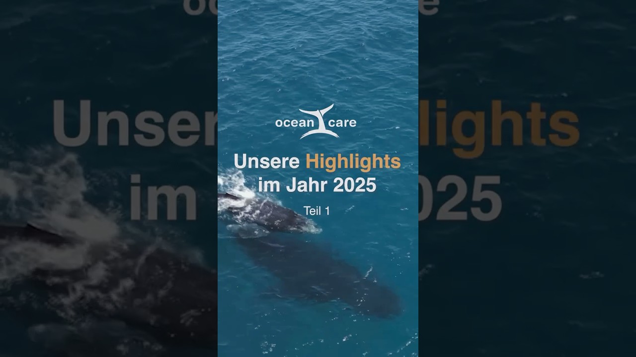 Meilenstein-Momente im Jahr 2025 (Teil 1): Eine globale Bewegung für einen blauen Planeten