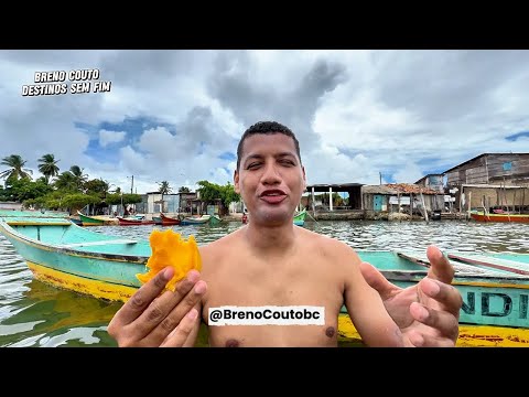 🍃🥭 Já pensou em catar manga nas ilhas de Piaçabuçu a Beira do São Francisco em Alagoas? 
