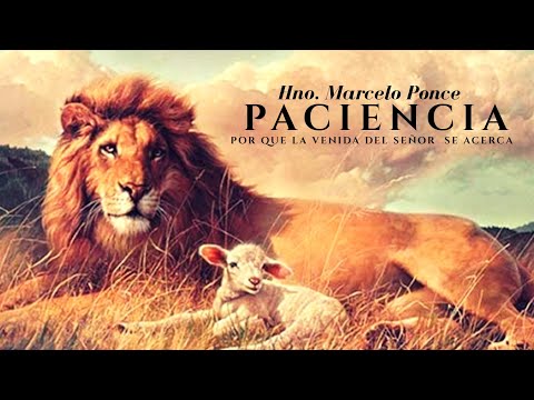 Domingo 2020 0628 - Paciencia, Por Que La Venida del Señor Se Acerca - Hno. Marcelo Ponce - TRC 2020