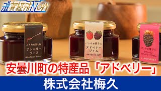 安曇川町の特産品「アドベリー」。その誕生から発信までに尽力し、地域と共に歩む『株式会社梅久』【滋賀経済NOW】2021年7月24日放送