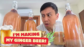 Making Homemade Ginger Beer 🍺 | Vlog #1864