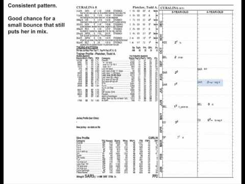 2016 Personal Ensign Stakes