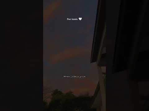 Meherezylaa 🤍🤩✨ #meherezylaa #musicvibeslyrics #shortsvideo #9000subscribers #love #music #trending