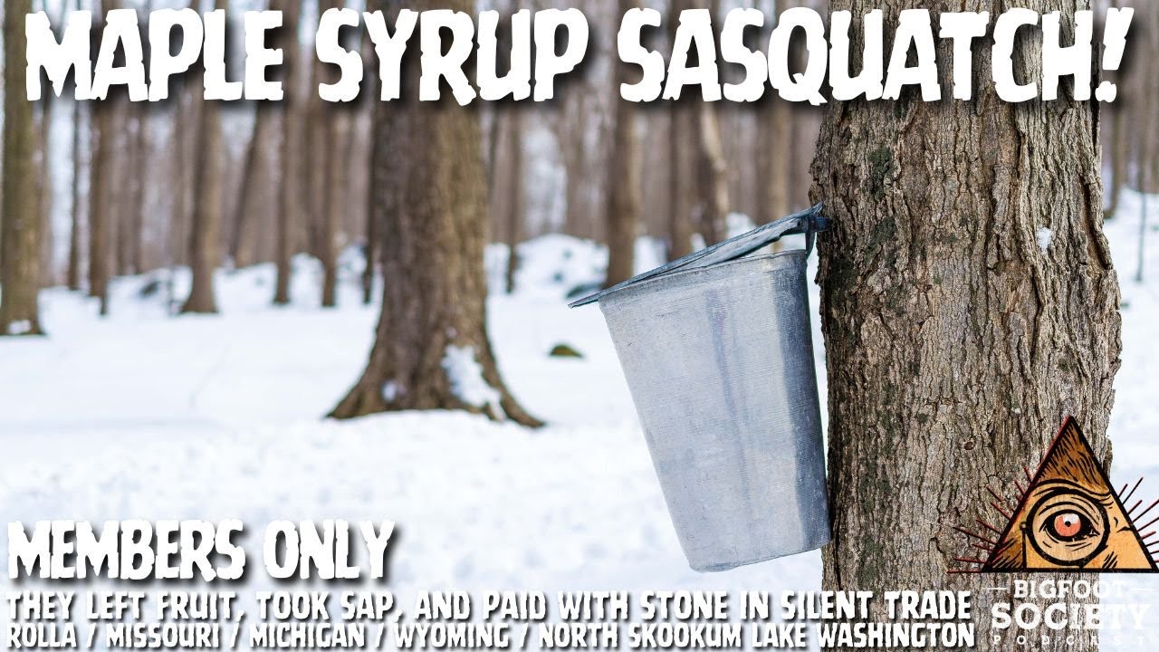 Bigfoot Steals Maple Sap in Missouri! | Members Only Episode A17 PREVIEW