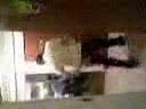 luke bellamy dancing