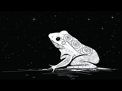 Short Reports - Mathilda [official music video]