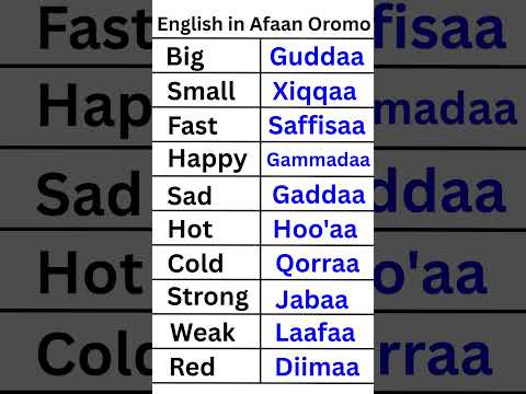 #english #oromo_tik_tok #education #marakienglish  English Vocabular in Afaan Oromo #easy