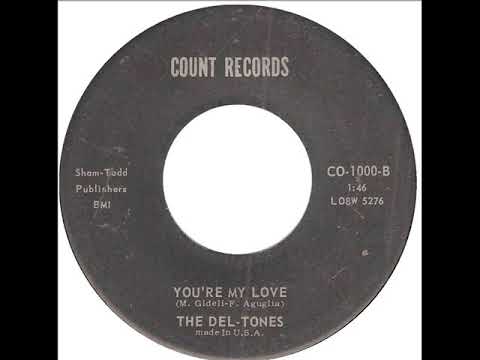 WHITE TEEN DOO WOP;  The Del -Tones