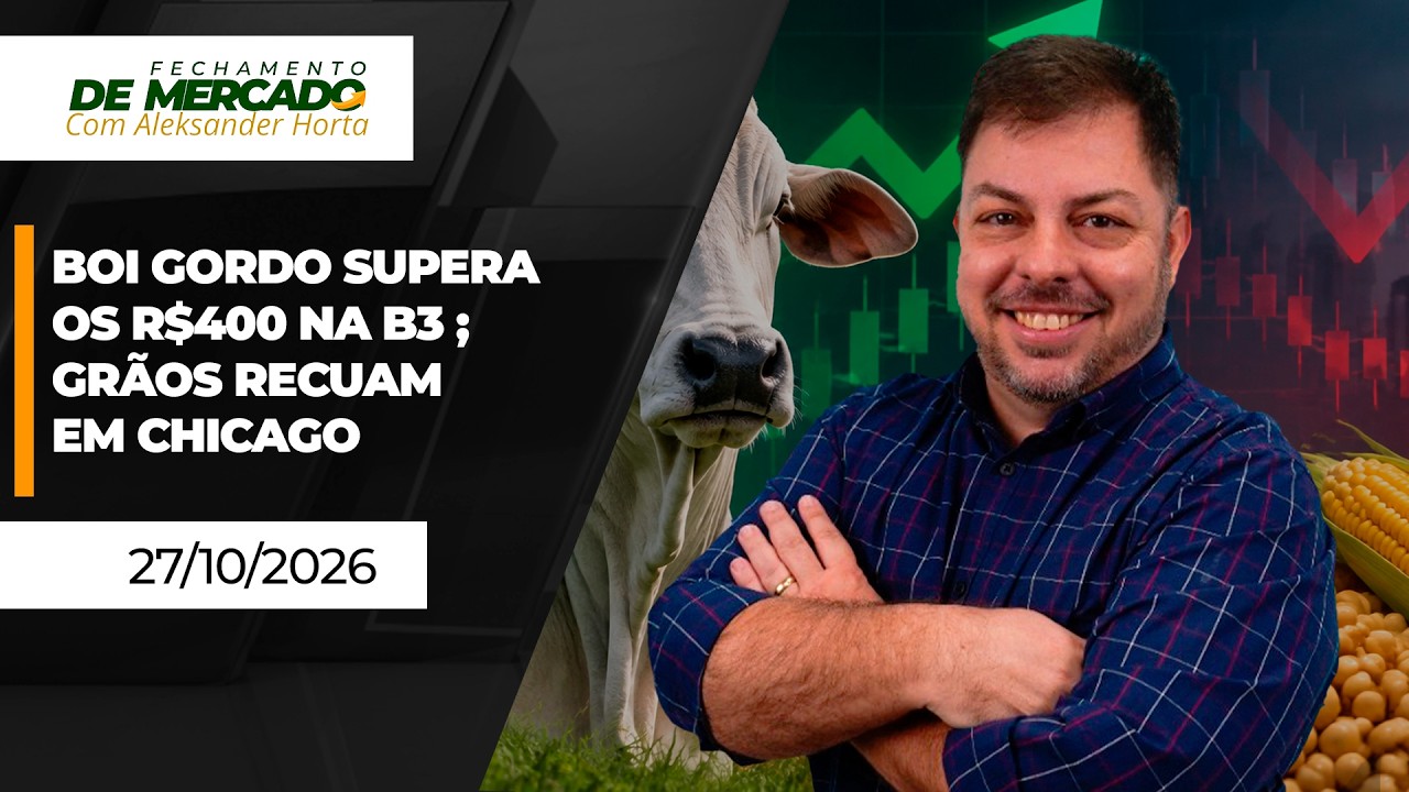 FECHAMENTO DE MERCADO - Boi gordo supera os R$400 na B3 ; grãos recuam em Chicago
