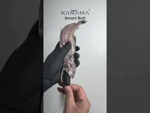 Ultimate Fishing Adventure – Big Catch of the Day!