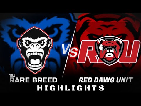 11U Rare Breed vs. RDU | Highlights