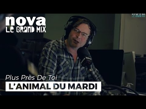 La loutre, l'animal du mardi de François Rollin | Plus Près De Toi