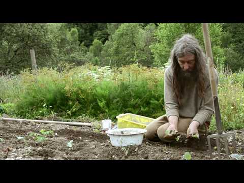 Leben ohne Wasser und Strom - Aussteiger zog vor 24 Jahren in den Wald