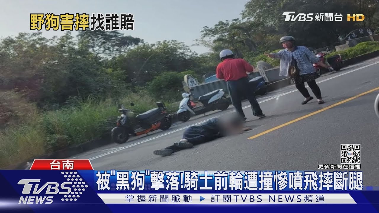 被「浪浪」擊落!狗撞機車 上班族噴飛摔斷腿
