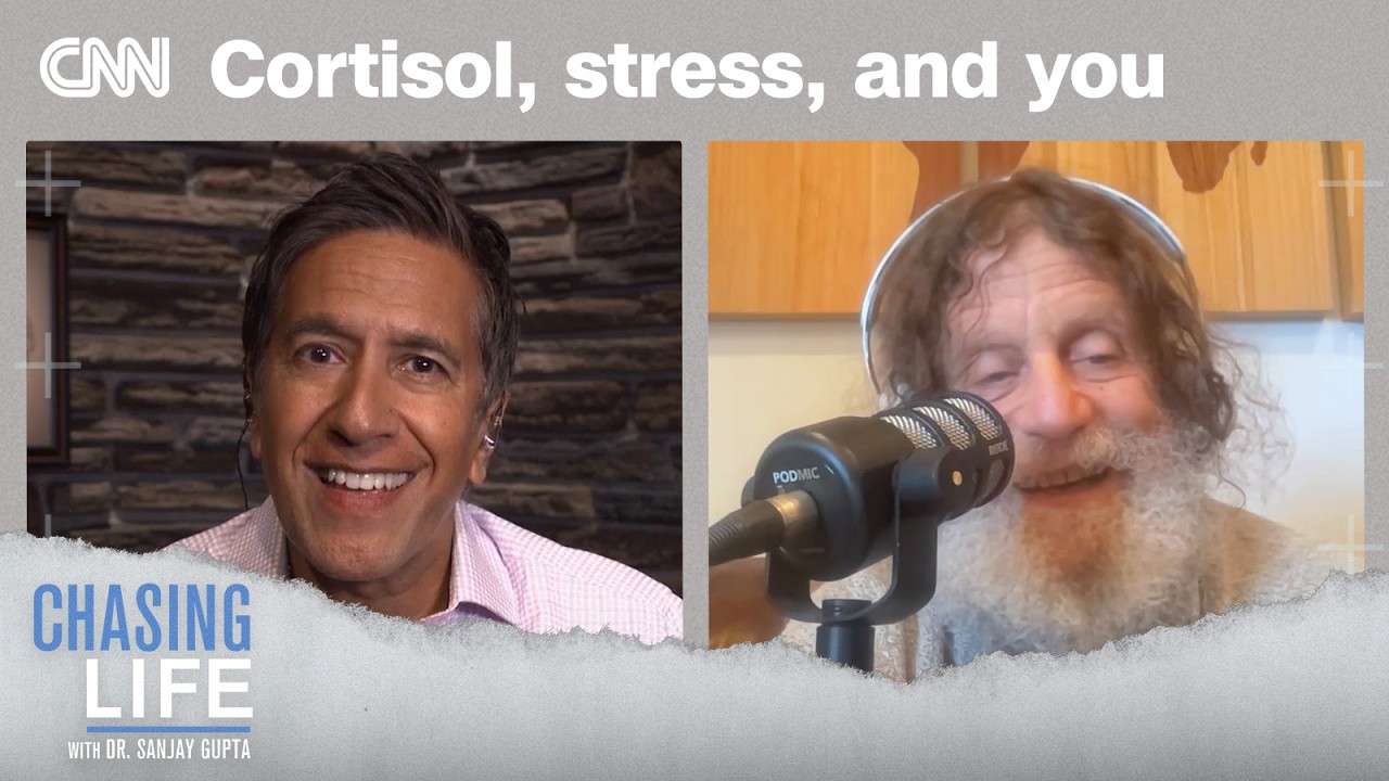 What cortisol is really doing to you | Chasing Life