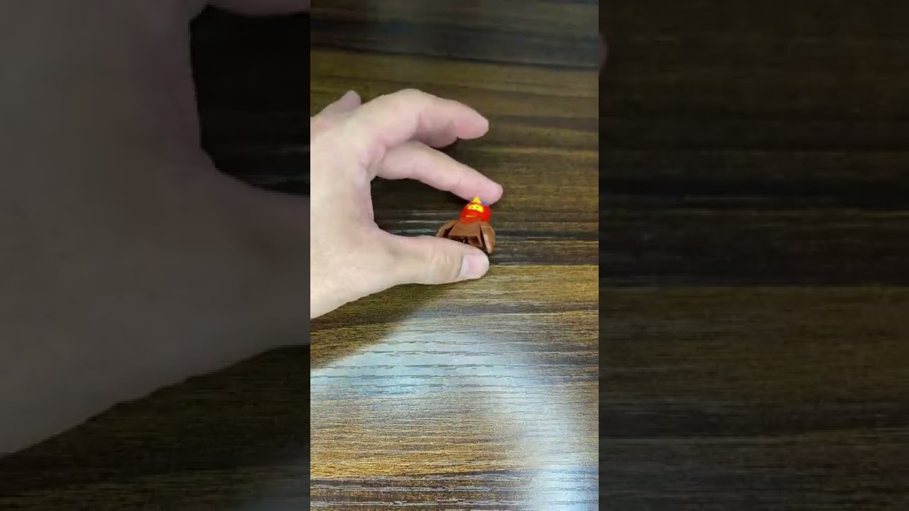 【LEGO】ミニフィギュアシリーズ２３　鳥