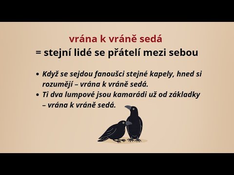 České idiomy 11 | Čeština pro cizince (B2–C1)