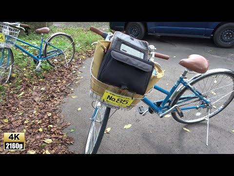 #3 Bullet Tour Fui al templo Tatsukoku Bishamondo en una bicicleta de alquiler