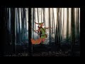 Robin Hood Trailer