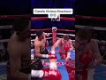 Canelo Vicious KO Canelo Amir Boxing Ringmasters Shorts